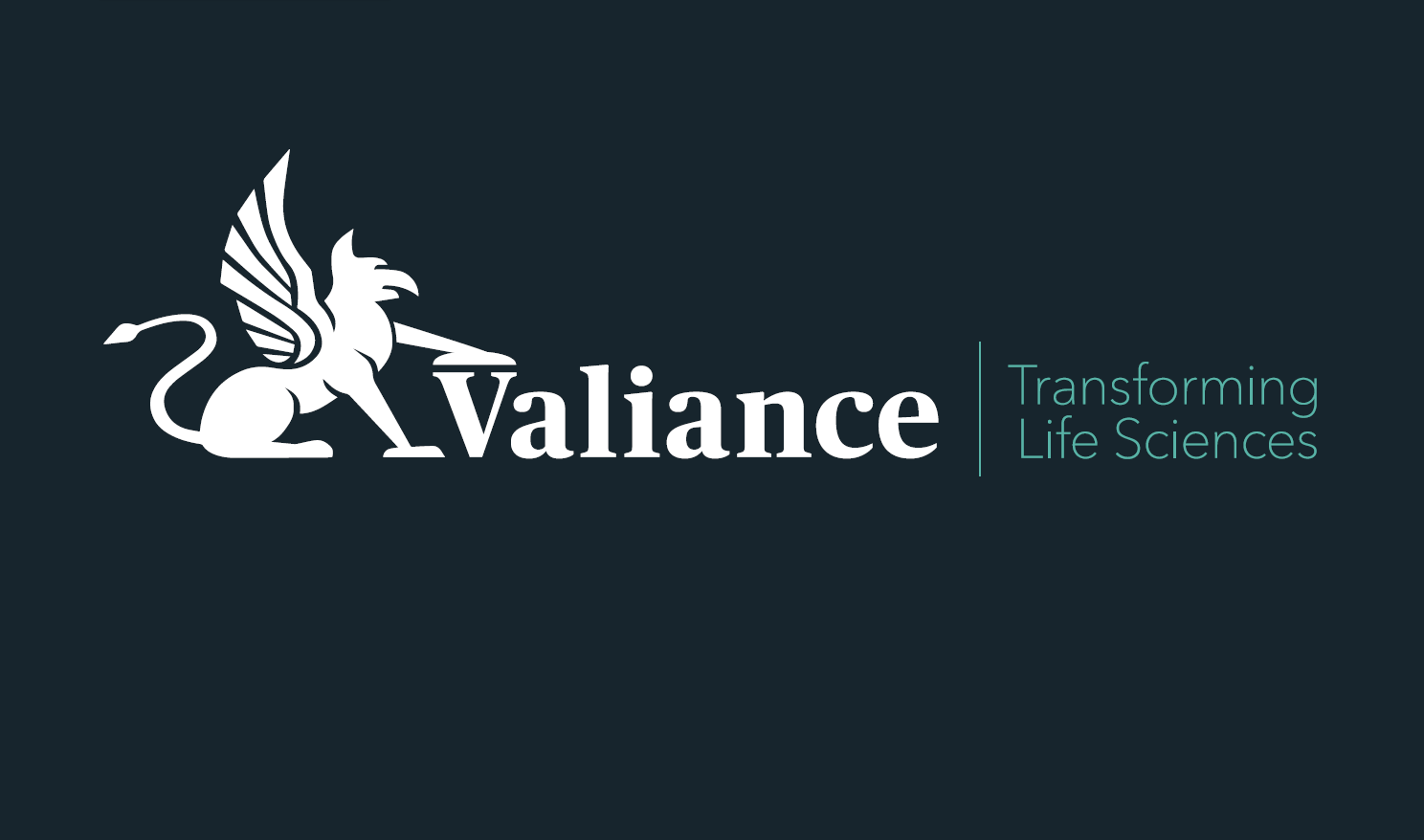 valiance banner